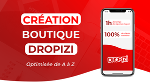 Création de votre boutique Dropizi